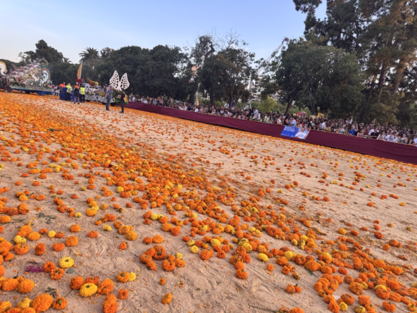 Battle of Flowers Valencia 2025: The World's Most Beautiful Battle of Flowers Celebration